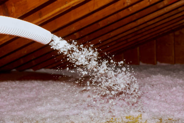 Best Energy Efficiency Insulation in North Branch, MI