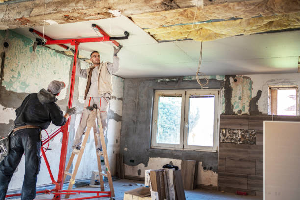 Professional Insulation Contractor in North Branch, MI