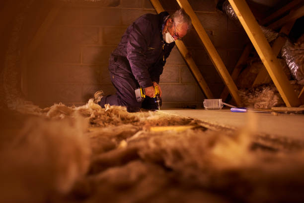 Best Spray Foam Insulation in North Branch, MI